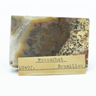 Moosachat (Agate mousse), Brésil.