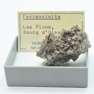 Ferroaxinite (Axinite) et Epidote, Bourg d’Oisans, Oisans, Isère.