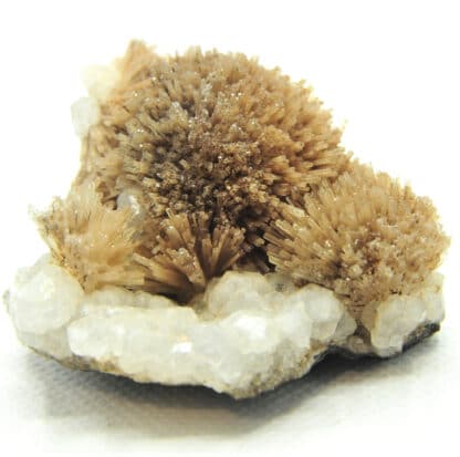 Natrolite, Analcime et Calcite, Wasson Bluff, Nova Scotia, Canada.