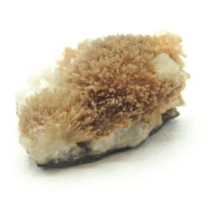 Natrolite, Analcime et Calcite, Wasson Bluff, Nova Scotia, Canada.