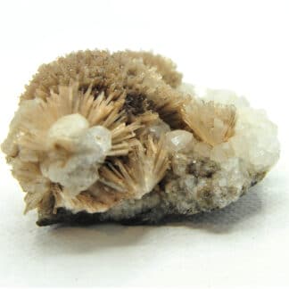 Natrolite, Analcime et Calcite, Wasson Bluff, Nova Scotia, Canada.