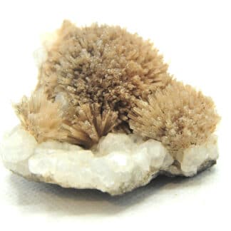 Natrolite, Analcime et Calcite, Wasson Bluff, Nova Scotia, Canada.