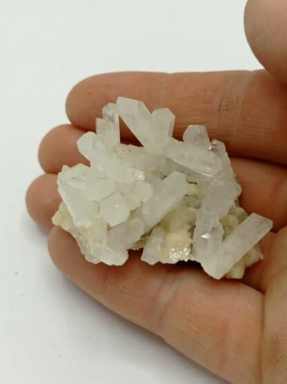 Célestine et Aragonite, Caltanissetta, Sicile, Italie.