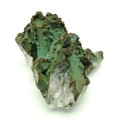 Chrysocolle sur Quartz, Chili.