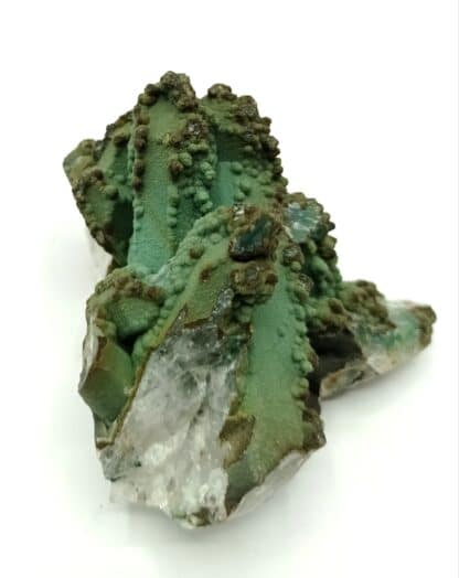 Chrysocolle sur Quartz, Chili.