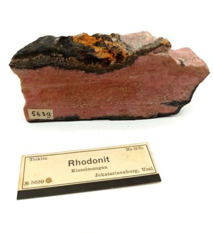 Rhodonit (Rhodonite) manganifère, Jekatarinenburg, Ural (Oural), Russie.