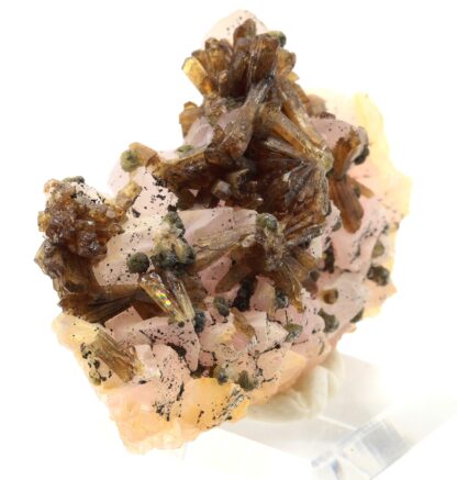 Eosphorite (childrenite?), Taquaral, Itinga, Minas Gerais, Brésil.