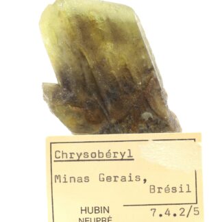 Chrysobéryl, cristal XL, Minas Gerais, Brésil.