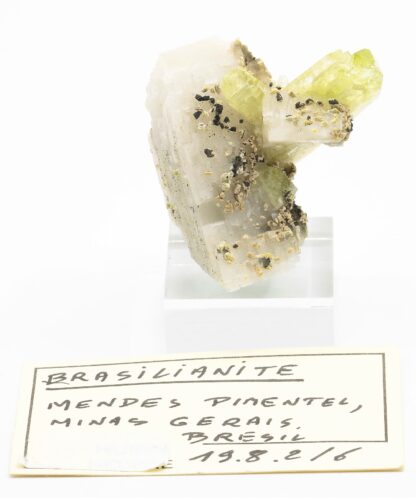 Brazilianite (Brésilite) et Cleavelandite (Albite), Minas Gerais, Brésil.