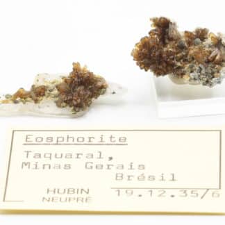 Eosphorite, Taquaral, Itinga, Minas Gerais, Brésil.