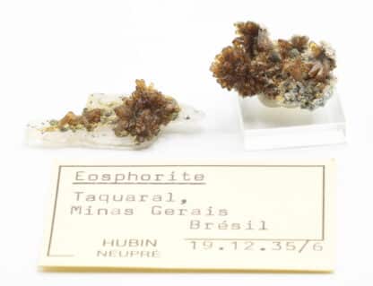 Eosphorite, Taquaral, Itinga, Minas Gerais, Brésil.