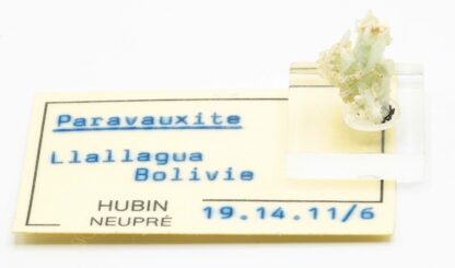 Paravauxite, Mine de Siglo Veinte, Llallagua, Potosí, Bolivie.