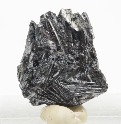 Cylindrite, Mine de Santa Cruz, Poopó, Oruro, Bolivie.