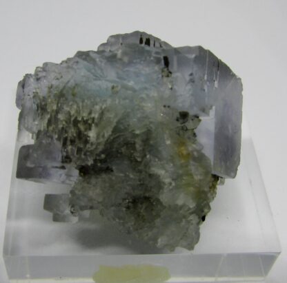 Fluorite-Montroc-Tarn