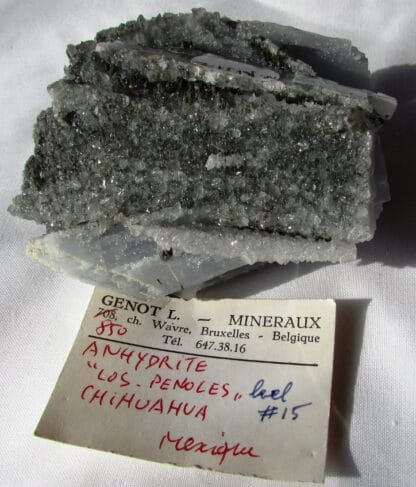 anhydrite-Chihuhua-Mexique