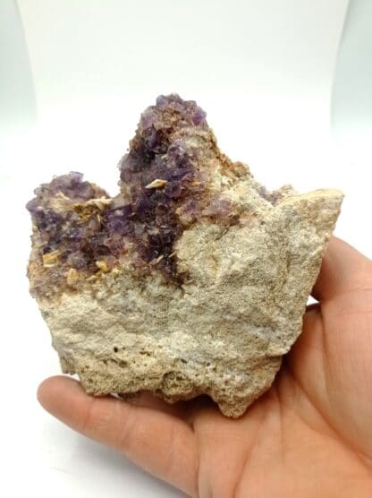 Fluorite et Baryte, La Cabana, Berbès, Espagne.