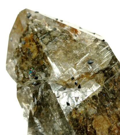 Anatase sur Quartz, Val Cavradi, Grisons, Suisse.