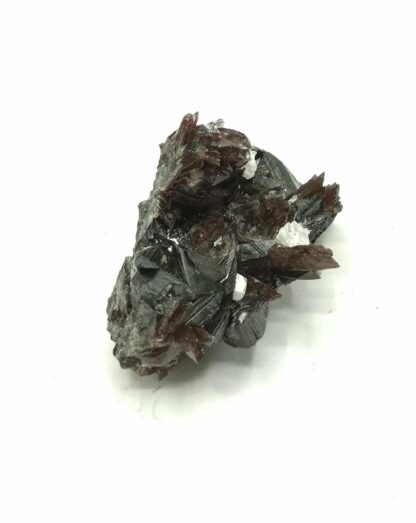 Axinite et Sphalérite (Blende), Mine Fortuna, Fresnillo, Mexique.