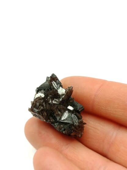 Axinite et Sphalérite (Blende), Mine Fortuna, Fresnillo, Mexique.