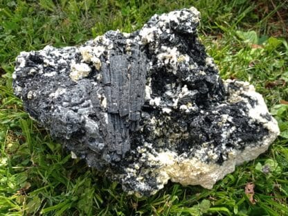 Tourmaline (Schorl) et Gilbertite, Carrière Menou, Saint-Salvy, Tarn.