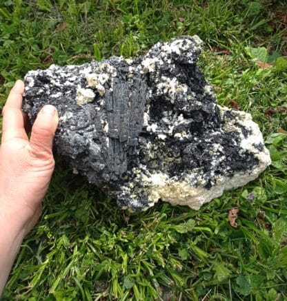 Tourmaline (Schorl) et Gilbertite, Carrière Menou, Saint-Salvy, Tarn.