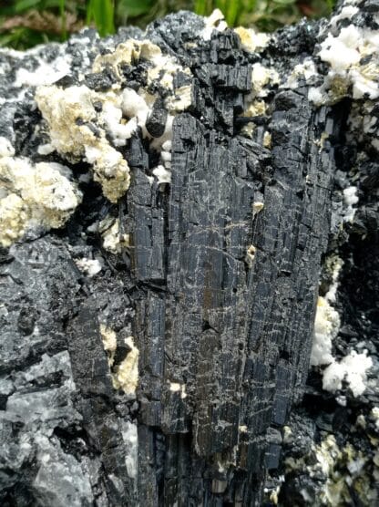 Tourmaline (Schorl) et Gilbertite, Carrière Menou, Saint-Salvy, Tarn.