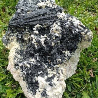 Tourmaline (Schorl) et Gilbertite, Carrière Menou, Saint-Salvy, Tarn.