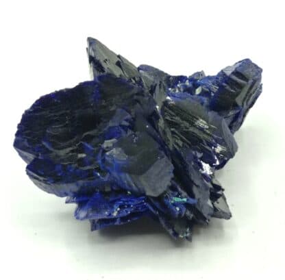 Fleur d’Azurite, Chessy-les-Mines, Rhône, Ex. Coll. Doumet.