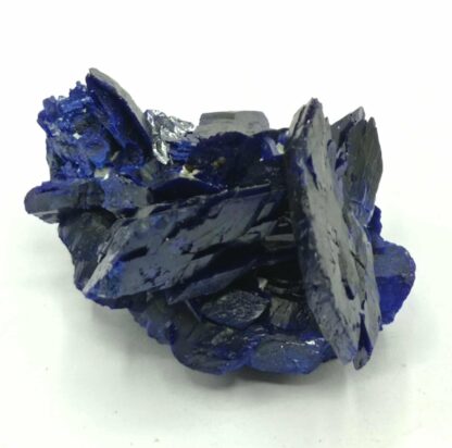 Fleur d’Azurite, Chessy-les-Mines, Rhône, Ex. Coll. Doumet.