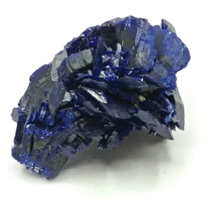 Fleur d’Azurite, Chessy-les-Mines, Rhône, Ex. Coll. Doumet.