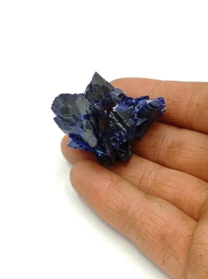 Fleur d’Azurite, Chessy-les-Mines, Rhône, Ex. Coll. Doumet.