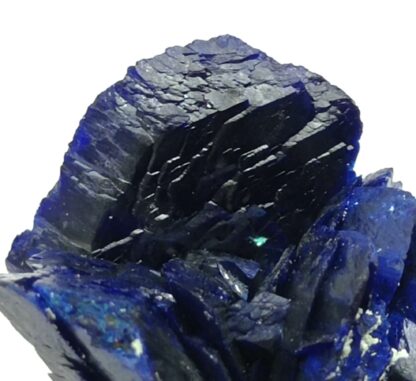 Fleur d’Azurite, Chessy-les-Mines, Rhône, Ex. Coll. Doumet.