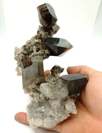 Quartz fumé et Brookite, Puiva, Oural, Russie.