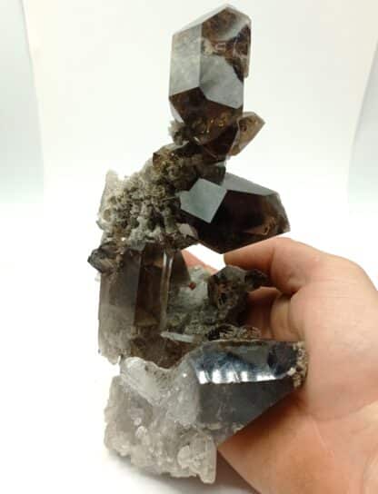 Quartz fumé et Brookite, Puiva, Oural, Russie.