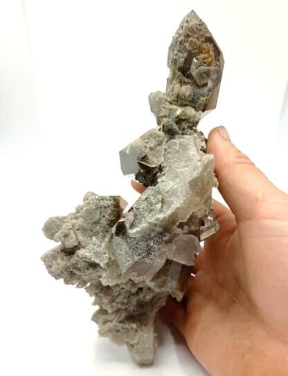 Quartz fumé et Brookite, Puiva, Oural, Russie.