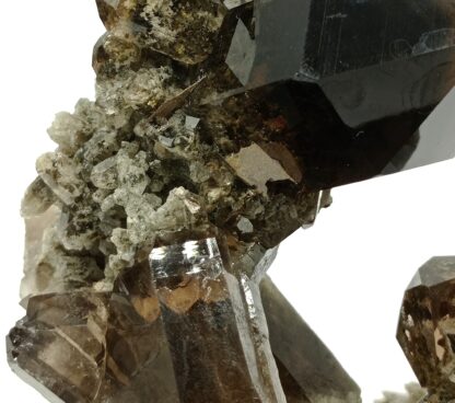 Quartz fumé et Brookite, Puiva, Oural, Russie.