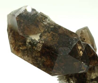 Quartz fumé et Brookite, Puiva, Oural, Russie.