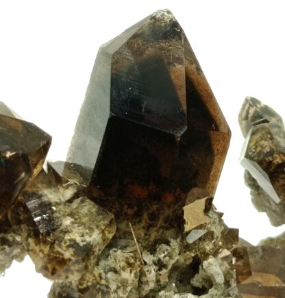 Quartz fumé et Brookite, Puiva, Oural, Russie.