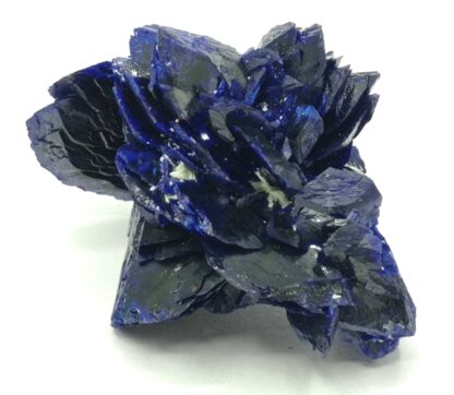 Fleur d’Azurite, Chessy-les-Mines, Rhône, Ex. Coll. Doumet.