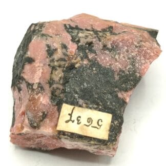 Rhodonit (Rhodonite) manganifère, Jekatarinenburg, Ural (Oural), Russie.