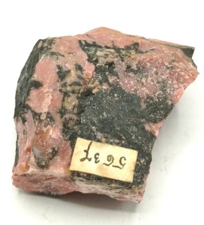 Rhodonit (Rhodonite) manganifère, Jekatarinenburg, Ural (Oural), Russie.