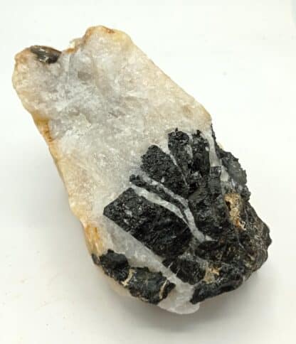 Tourmaline (Schorl), Beauchaud, Forez, Puy-de-Dôme, Auvergne.