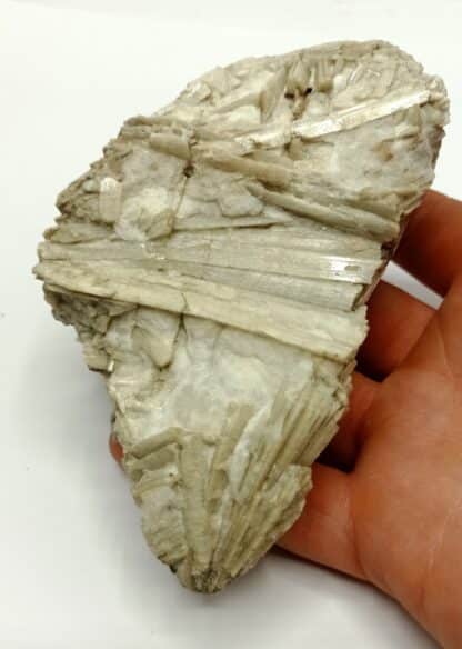 Trémolite, Campolungo, Tessin, Italie.