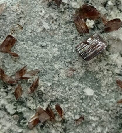 Axinite et Albite, Les Rochers d’Armentier, Oisans, Isère.