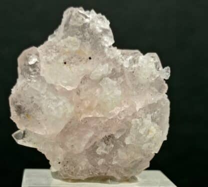 Fluorine rose, Grand Col Ferret, Aoste, Italie.