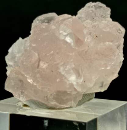 Fluorine rose, Grand Col Ferret, Aoste, Italie.