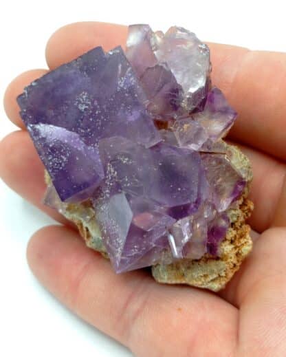 Fluorite (Fluorine), La Cabana, Berbès, Espagne.