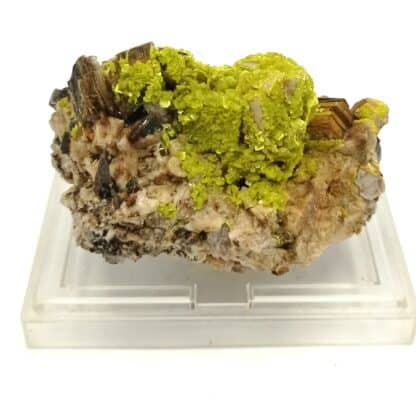 Autunite et Muscovite, Vénachat, Haute-Vienne, Limousin.