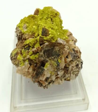 Autunite et Muscovite, Vénachat, Haute-Vienne, Limousin.