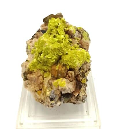 Autunite et Muscovite, Vénachat, Haute-Vienne, Limousin.